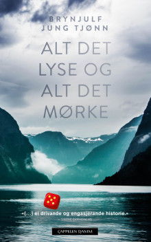 Alt det lyse og alt det mørke av Brynjulf Jung Tjønn (Ebok)