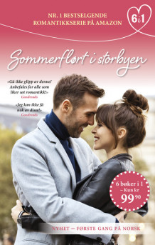 Sommerflørt i storbyen av Sarah M. Eden, Annette Lyon, Lisa Mangum, Heather B. Moore, Luisa Perkins og Janette Rallison (Ebok)