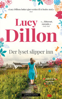 Der lyset slipper inn av Lucy Dillon (Ebok)