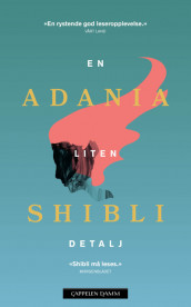 En liten detalj av Adania Shibli (Heftet)