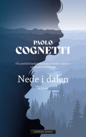 Nede i dalen av Paolo Cognetti (Innbundet)