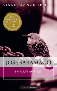 En flåte av stein av José Saramago (Ebok)