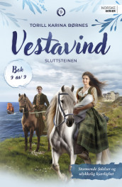 Sluttsteinen av Torill Karina Børnes (Ebok)