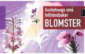 Blomster av Tore Fonstad (Innbundet)