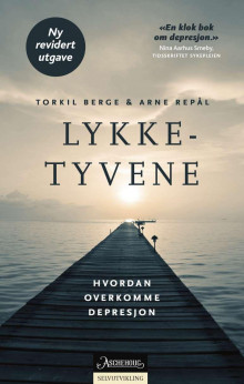 Lykketyvene av Torkil Berge og Arne Repål (Ebok)