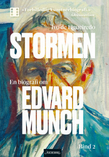 Stormen av Ivo de Figueiredo (Ebok)