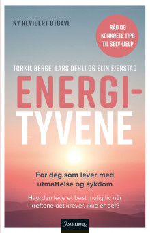 Energityvene av Torkil Berge, Lars Dehli og Elin Fjerstad (Heftet)