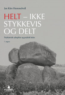 Helt - ikke stykkevis og delt av Jan Kåre Hummelvoll, Tor Erling Dahl, Bengt G. Eriksson, Per Jenssen og António Barbosa da Silva (Heftet)