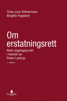 Om erstatningsrett av Trine-Lise Wilhelmsen og Birgitte Hagland (Innbundet)