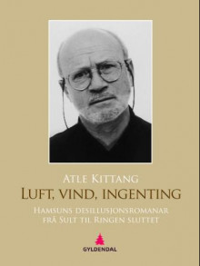 Luft, vind, ingenting av Atle Kittang (Ebok)