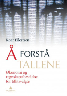 Å forstå tallene av Roar Eilertsen (Heftet)