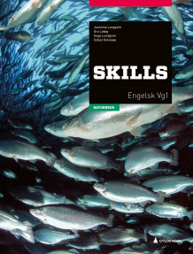 Skills av Janniche Langseth, Gro Lokøy, Hege Lundgren og Sidsel Hellesøy (Heftet)