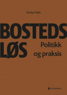 Bostedsløs av Evelyn Dyb (Heftet)