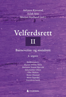 Velferdsrett II av Asbjørn Kjønstad, Aslak Syse, Morten Kjelland, Marion Hirst, Marianne Jenum Hotvedt, Olav Molven, Julia Köhler-Olsen, Bente Ohnstad, Mons Oppedal og Gunnbritt Søvik (Heftet)