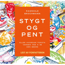 Stygt og pent, Eller hvordan forstå verden ved å se den bedre av Ragnhild Brochmann (Nedlastbar lydbok)