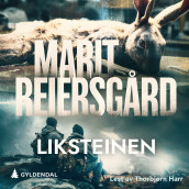 Liksteinen av Marit Reiersgård (Nedlastbar lydbok)