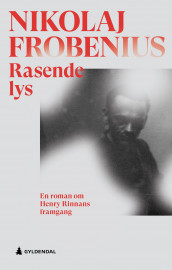 Rasende lys av Nikolaj Frobenius (Ebok)