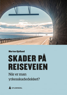 Skader på reiseveien av Morten Kjelland (Heftet)