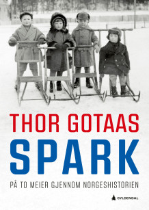 Spark av Thor Gotaas (Innbundet)