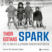 Spark av Thor Gotaas (Nedlastbar lydbok)