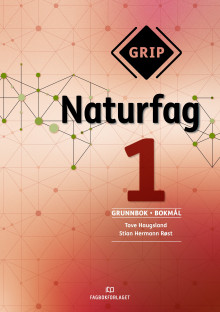 Grip 1 av Tove Haugsland og Stian Røst (Heftet)