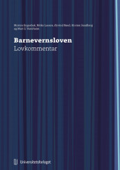 Barnevernsloven av Morten Engesbak, Rikke Lassen, Øyvind Røed, Kirsten Sandberg og Mari S. Vestrheim (Innbundet)