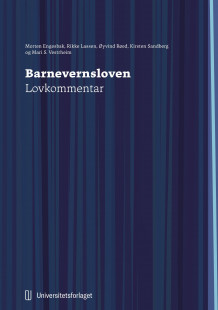 Barnevernsloven av Kirsten Sandberg, Morten Engesbak, Rikke Lassen, Øyvind Røed og Mari S. Vestrheim (Innbundet)