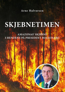 Skjebnetimen av Arne Halvorsen (Heftet)