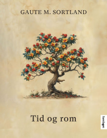 Tid og rom av Gaute M. Sortland (Innbundet)