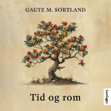 Tid og rom av Gaute M. Sortland (Nedlastbar lydbok)