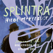 Splintra av Hilde Myklebust (Nedlastbar lydbok)