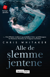 Alle de slemme jentene av Chris Whitaker (Heftet)