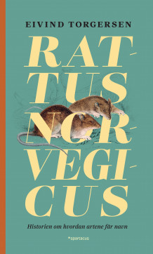 Rattus norvegicus av Eivind Torgersen (Innbundet)