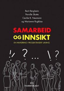 Samarbeid og innsikt av Berit Bergheim, Pernille Stornæss Skotte, Cecilie Basberg Neumann og Marianne Rugkåsa (Heftet)