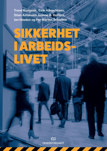 Sikkerhet i arbeidslivet av Trond Kongsvik, Eirik Albrechtsen, Stian Antonsen, Ivonne A. Herrera, Jan Hovden og Per Morten Schiefloe (Heftet)