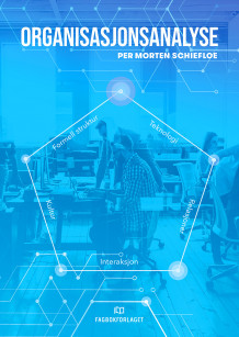Organisasjonsanalyse av Per Morten Schiefloe (Heftet)