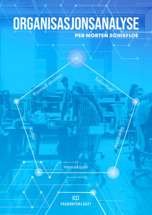 Organisasjonsanalyse av Per Morten Schiefloe (Heftet)