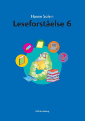 Leseforståelse 6 av Hanne Solem (Heftet)