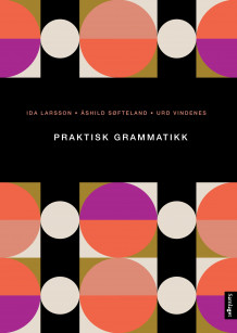 Praktisk grammatikk av Ida Larsson, Åshild Søfteland og Urd Vindenes (Heftet)