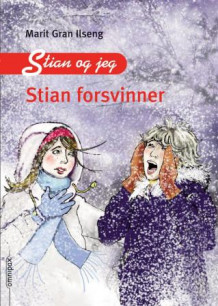 Stian forsvinner av Marit Gran Ilseng (Innbundet)