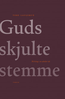 Guds skjulte stemme av Tore Laugerud (Ebok)