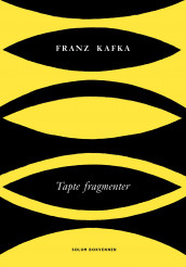 Tapte fragmenter av Franz Kafka (Ebok)