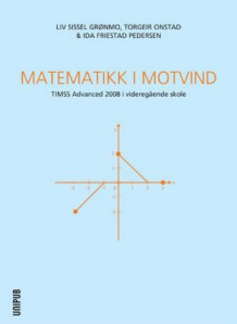 Matematikk i motvind av Liv Sissel Grønmo, Torgeir Onstad og Ida Friestad Pedersen (Heftet)