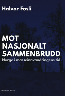 Mot nasjonalt sammenbrudd av Halvor Fosli (Innbundet)