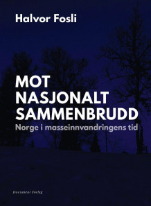 Mot nasjonalt sammenbrudd av Halvor Fosli (Ebok)