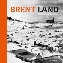 Brent land av Elisabeth Johansen (Innbundet)