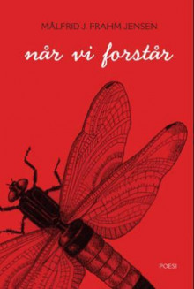 Når vi forstår av Målfrid J. Frahm Jensen (Innbundet)