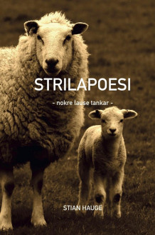 Strilapoesi av Stian Hauge (Heftet)