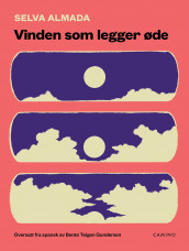 Vinden som legger øde av Selva Almada (Ebok)